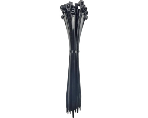 Lot de colliers de serrage noirs