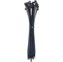 Lot de colliers de serrage noirs