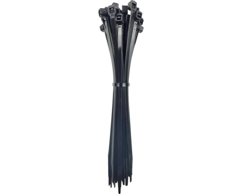 Lot de colliers de serrage noirs
