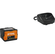Stihl AK 10 Akku mit Ladegerät