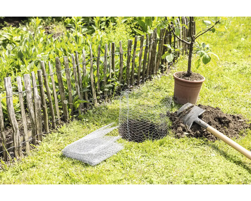 Gartenszene mit einem Holzzaun, einem jungen Baum im Topf, einem Spaten und einem Drahtgeflecht zum Schutz von Pflanzen.