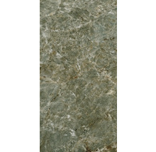 Vue détaillée d''un carreau en pierre naturelle verte avec veinures