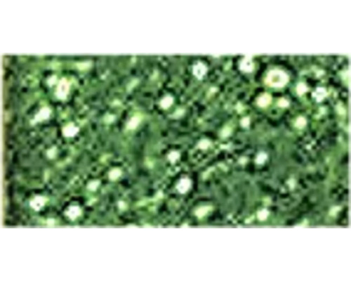 Tapis de semences vert avec graines de plantes