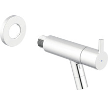 Robinet de bidet avec rosette pour la salle de bain