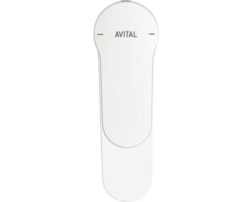 Mitigeur Avital
