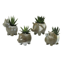 Quatre pots de fleurs en forme d''animaux avec des plantes grasses