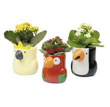 Trois pots de fleurs en forme d''animaux avec des fleurs