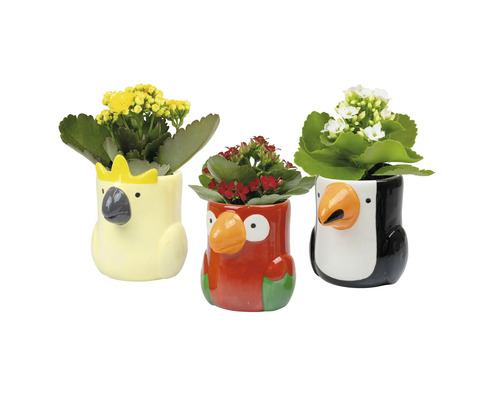 Trois pots de fleurs en forme d''animaux avec des fleurs