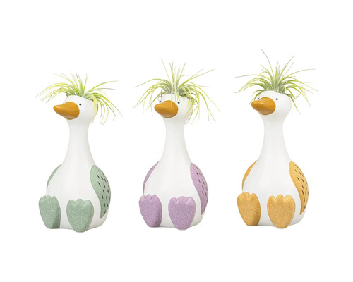 Trois canards décoratifs avec des plantes alignées.