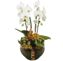 Arrangement avec orchidée blanche dans un vase en verre avec décoration automnale