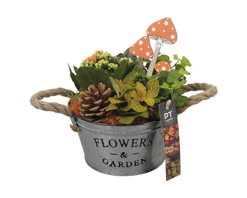 Arrangement de plantes d'intérieur orange FloraSelf coupe en zinc Ø 18 cm Composition florale dans un seau en métal avec l''inscription Fleurs et Jardin, ainsi que des champignons décoratifs et une pomme de pin.