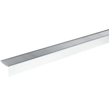 Treppenkantenprofil aus Aluminium