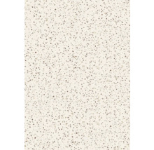 Carrelage aspect terrazzo pour l''intérieur