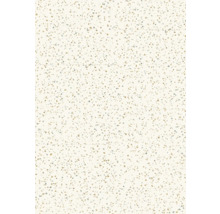 Motif de carreaux de terrazzo pour revêtements de sol