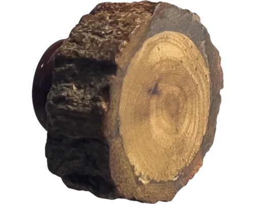 Rondin de bois avec écorce
