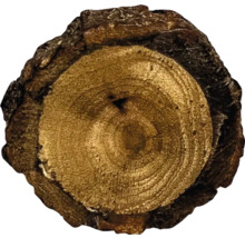 Rondin de bois avec écorce d''arbre