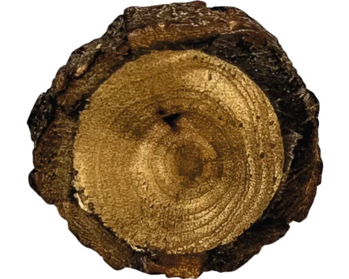 Rondin de bois avec écorce d''arbre