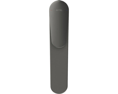 Robinet de cuisine Avital