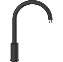 Robinet noir avec bec courbé