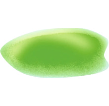Forme ovale verte