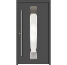 Graue Haustür mit Glaseinsatz und Griffstange