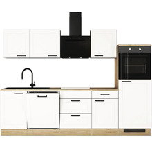 Cuisine équipée avec évier, lave-vaisselle, plaque de cuisson, hotte aspirante, four et armoires