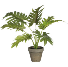 Plante d''intérieur artificielle dans un pot