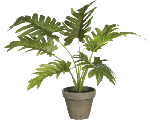 Plante d''intérieur artificielle dans un pot