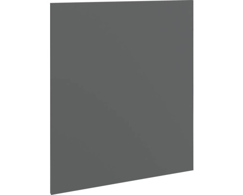 PICCANTE Smart Porte d'armoire cache de lave-vaisselle pour lave-vaisselle entièrement encastré PICCANTE Smart lxpxh 59,6 x 1,6 x 70 cm anthracite mat démontée P420 T670-2 Panneau de meuble