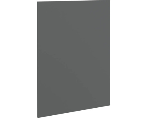 PICCANTE Smart Porte d'armoire PICCANTE Smart lxpxh 49,6 x 1,6 x 70 cm anthracite mat démonté P420 T570-2 Porte de placard