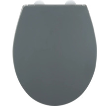 Abattant de WC en plastique
