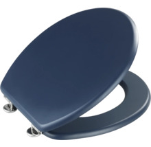 Abattant de WC bleu avec charnières en acier inoxydable