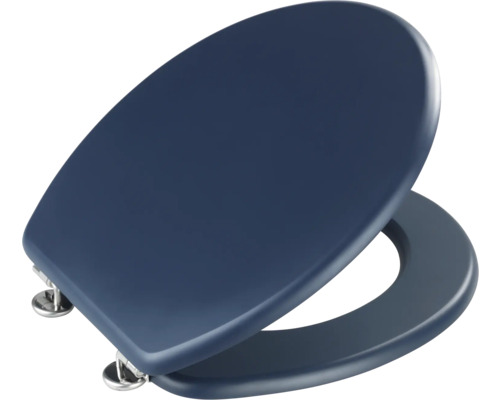 Abattant de WC bleu avec charnières en acier inoxydable