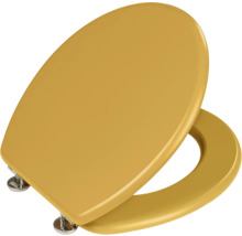 Abattant de WC en plastique