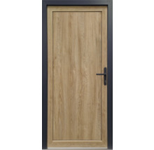 Porte en bois avec ferrures