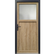Porte avec insert en verre et poignée de porte
