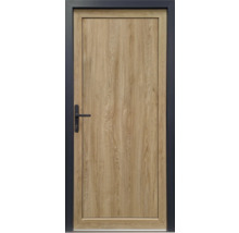 Porte en bois avec cadre de porte et poignée noirs