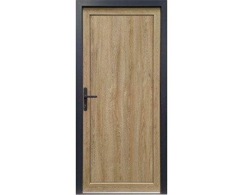 Porte en bois avec cadre de porte et poignée noirs