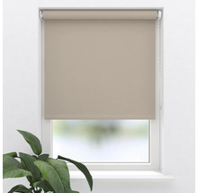 Store beige sur fenêtre avec plante