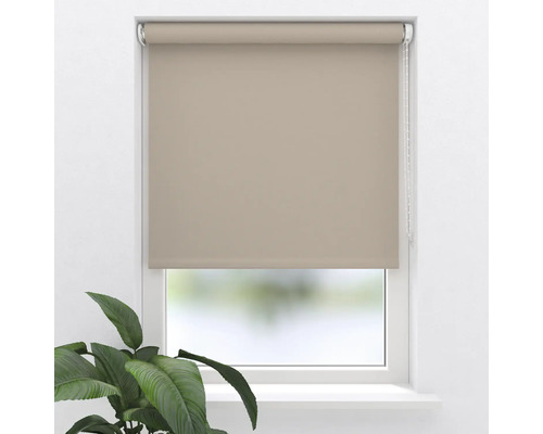 Store beige sur fenêtre avec plante