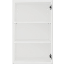 Intérieur d'une armoire de salle de bains avec étagères