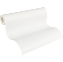 Rolle Raufasertapete