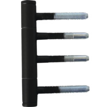 Scharnier mit Schraubstiften