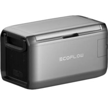 EcoFlow Kühlbox mit Tragegriff