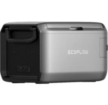 EcoFlow Powerstation