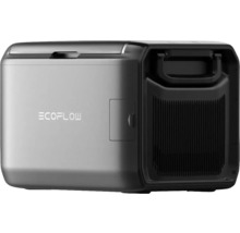 EcoFlow Powerstation für die Stromversorgung unterwegs