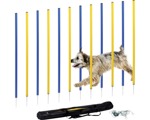 Agility-Set mit Hund beim Slalomlauf, inklusive Tragetasche und Befestigungsmaterial