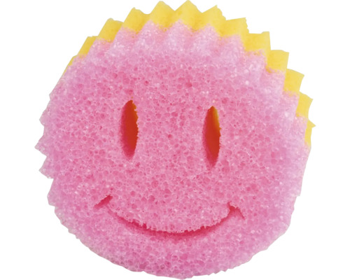 Reinigungsschwamm mit Gesicht