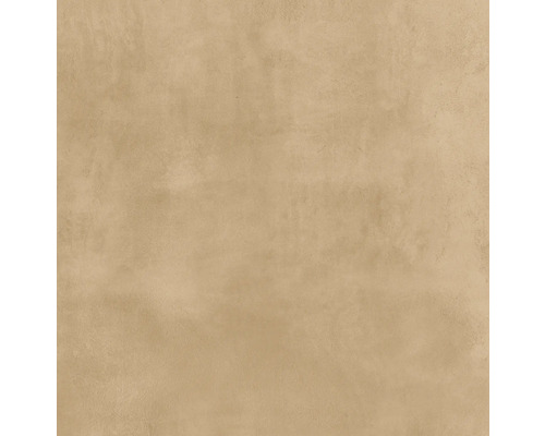 Carrelage sol et mur en grès-cérame fin Noblesse 60 x 60 x 0,95 cm siena marron mat rectifié Arrière-plan avec structure d''enduit
