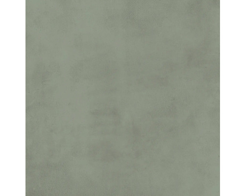 Carrelage sol et mur en grès-cérame fin Noblesse 60 x 60 x 0,95 cm saggio vert mat rectifié Revêtement mural en béton